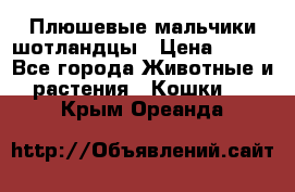 Плюшевые мальчики шотландцы › Цена ­ 500 - Все города Животные и растения » Кошки   . Крым,Ореанда